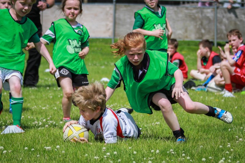 Monaghan Rugby Summer Camp 2015 (40 of 75).jpg
